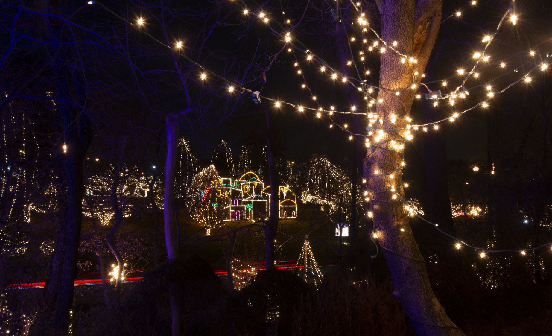 Way of Lights holiday light display at the National Shrine of Our Lady of the Snows